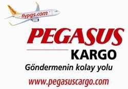 PEGASUS KARGO BİR  ALO  UZAKTA 